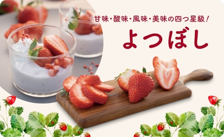 いちごよつぼしのご紹介