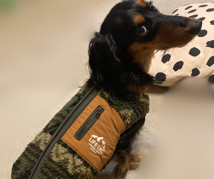 名称未設定のデザイン (2).png