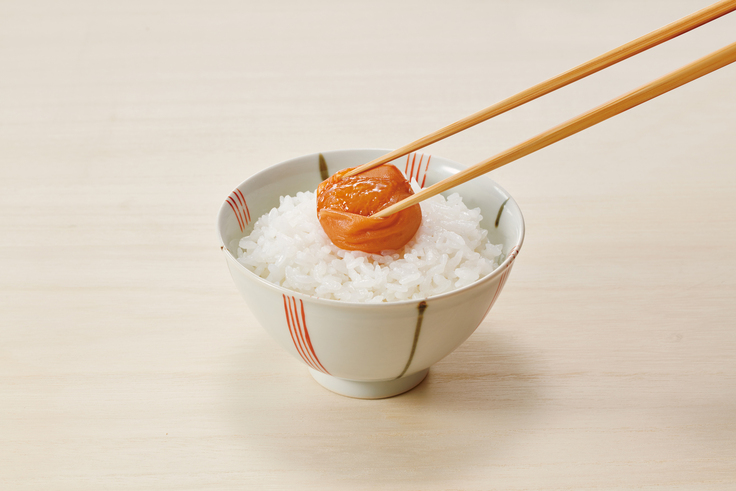 ご飯と梅干し.jpg