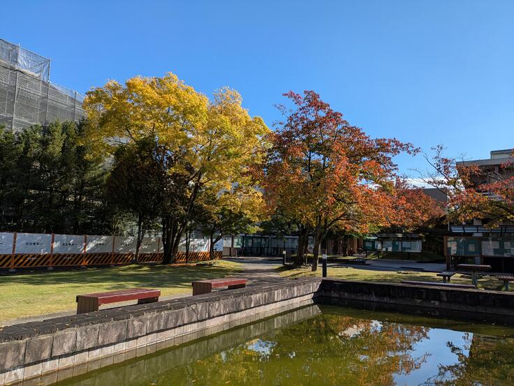 shared image (13).jpeg