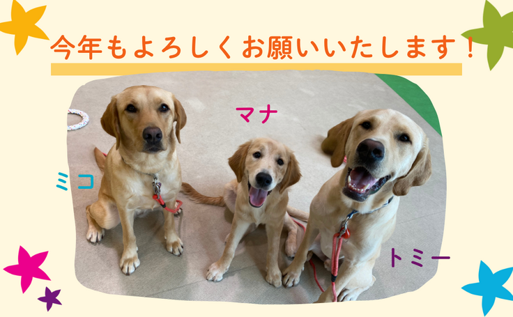 SOK様_活動報告サムネイルのコピー (1).png