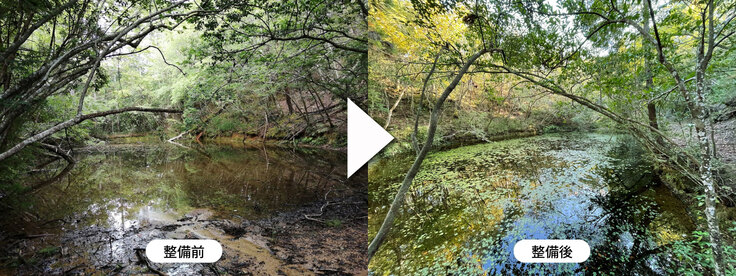 環境整備前、整備後