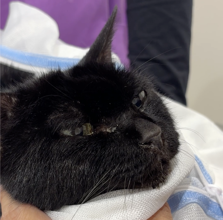 スクリーンショット 2025-11-12 19.49.53.png