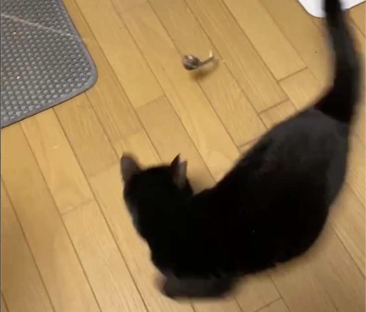 スクリーンショット 2025-11-12 19.55.51.png