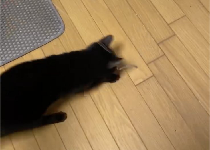 スクリーンショット 2025-11-12 19.55.39.png