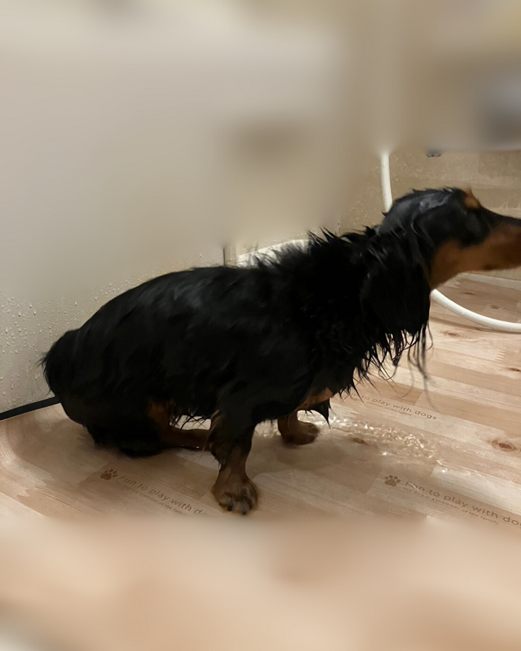 名称未設定のデザイン (1).png