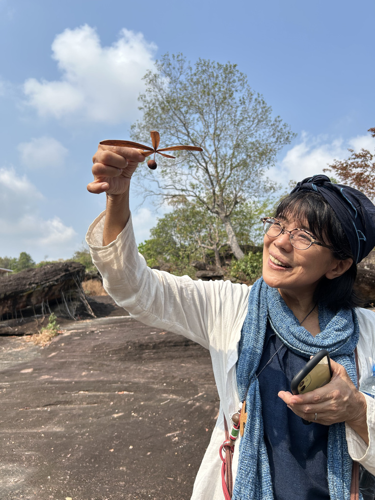 ラオスの森で見つけたたね