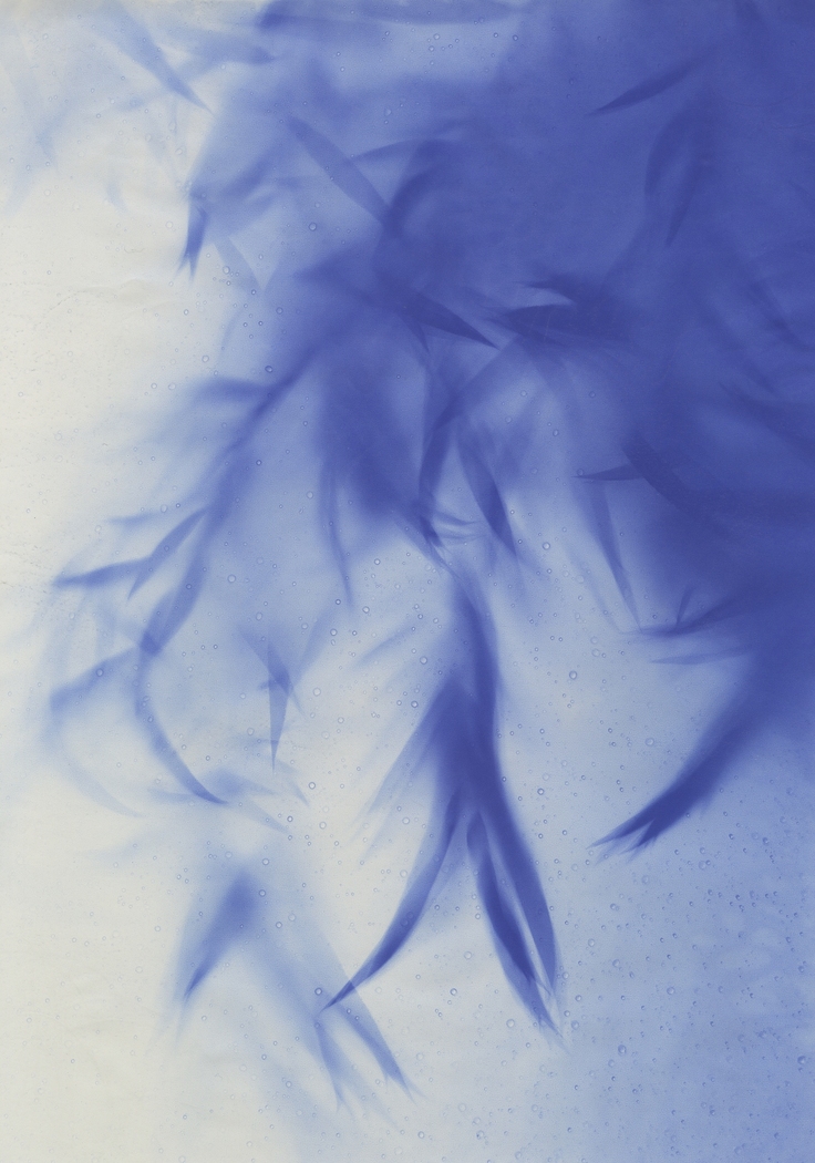 「8：15 8:6 2014（呼吸する影-被爆樹木シダレヤナギ-）」のコピー.jpg