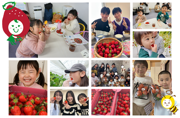 2024年の寄付先の様子