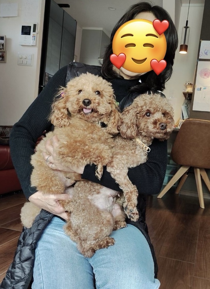 もこ_モコノ丸山 2.jpg