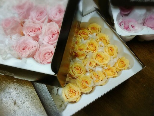 公開から２日経ちました 鳥取から就労支援施設と消費者を繋ぐ花の販売サイトで笑顔を 兒嶋陽子 16 09 28 投稿 クラウドファンディング Readyfor