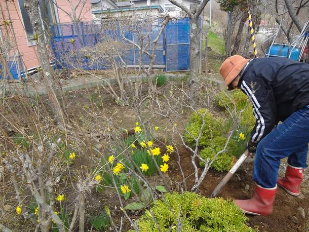 挿し木をしよう 北海道・浦河町の恵み・ハマナスの花を使ったコスメを