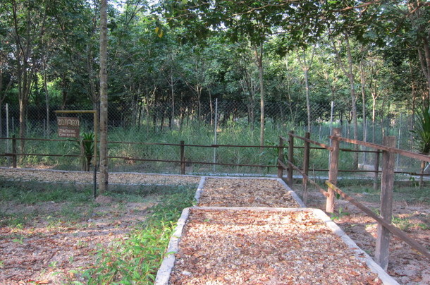 ジャッカルの生活スペース