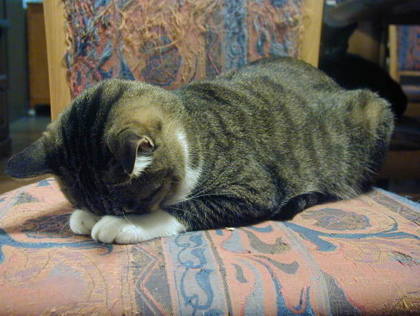 コンクリートでの土下座後は足がしびれてしばらく動けませんでした。