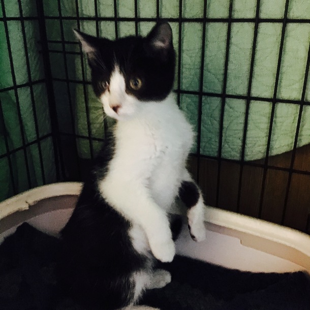 9daec8ff4d3dddd0aa88c7a5cbd27550db2beb62