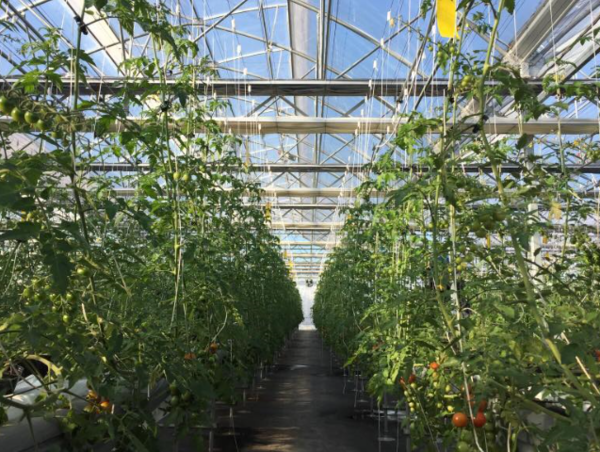 A17c9aaa61e80a1bf71d0d850af4e5baa9800bbd