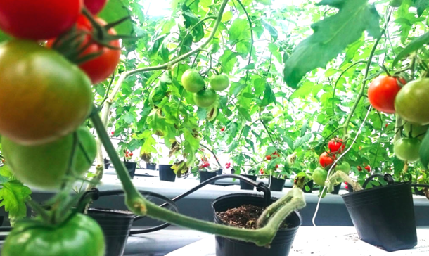 A17c9aaa61e80a1bf71d0d850af4e5baa9800bbd