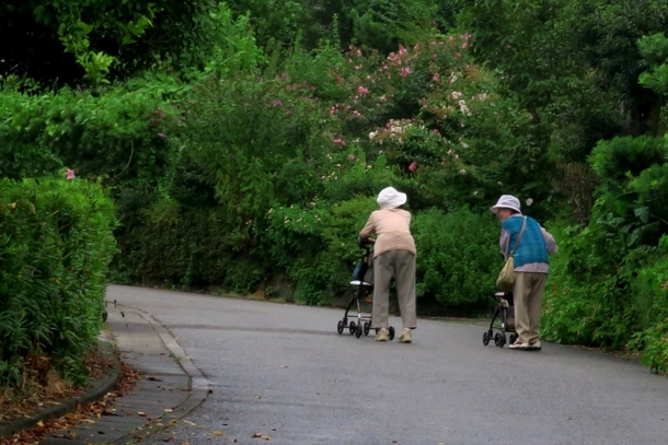 A17c9aaa61e80a1bf71d0d850af4e5baa9800bbd