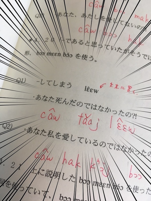 なんで 私がラオス語に ラオスと日本を言葉で繋ぐ 日本語 ラオス語辞典 を作りたい イマイデ ケイ 17 05 22 投稿 クラウドファンディング Readyfor レディーフォー