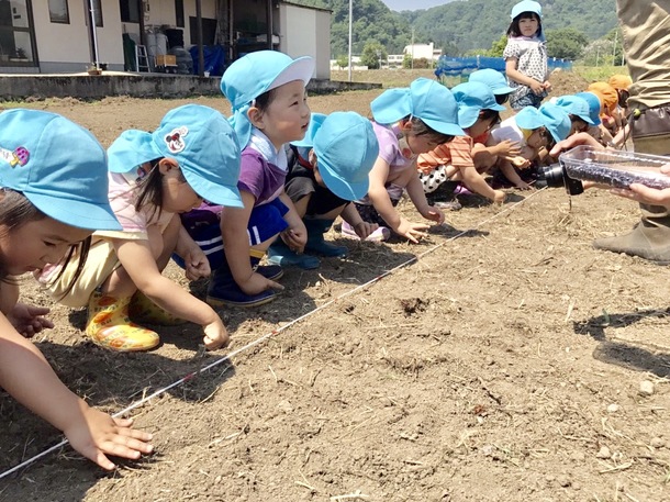 A17c9aaa61e80a1bf71d0d850af4e5baa9800bbd