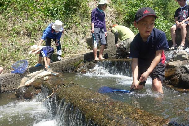 和田堰 魚道観察会を行いました 5年で生息数が1 5になった島根のアユが生きれる魚道を作ります 高橋泰子 17 06 19 投稿 クラウドファンディング Readyfor