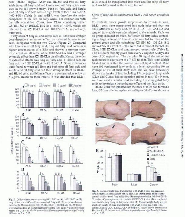 α-エレオステアリン酸