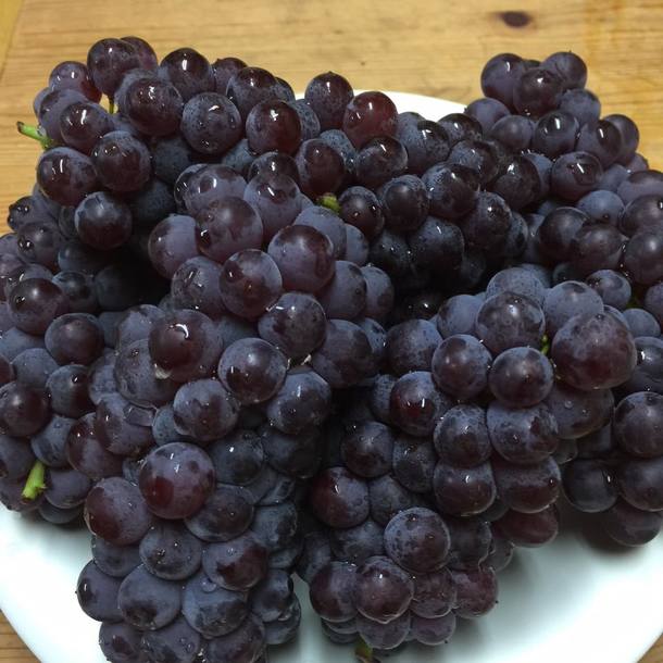 おいしそうなブドウ！