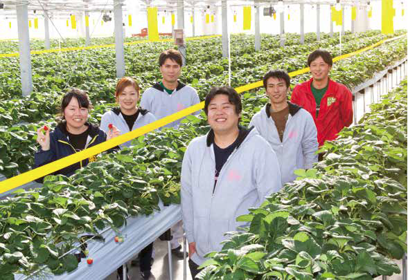 「いちご 農」の画像検索結果