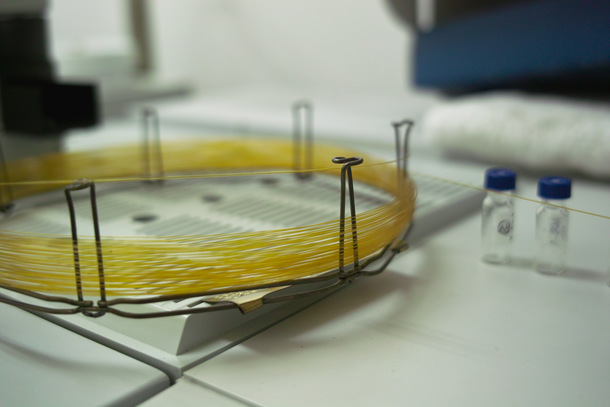 キャピラリーカラム