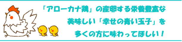 チリ原産の原種アローカナ鶏の栄養豊富な美味しい玉子を広めたい 中別府幸二 18 01 19 公開 クラウドファンディング Readyfor レディーフォー