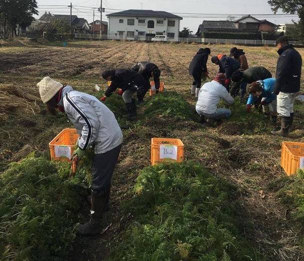 A17c9aaa61e80a1bf71d0d850af4e5baa9800bbd