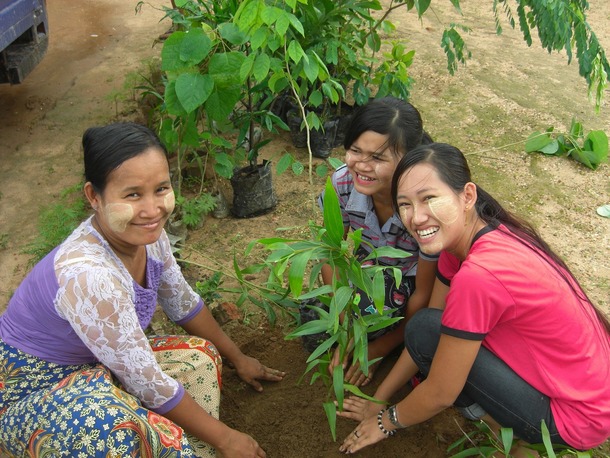 plantingstaff