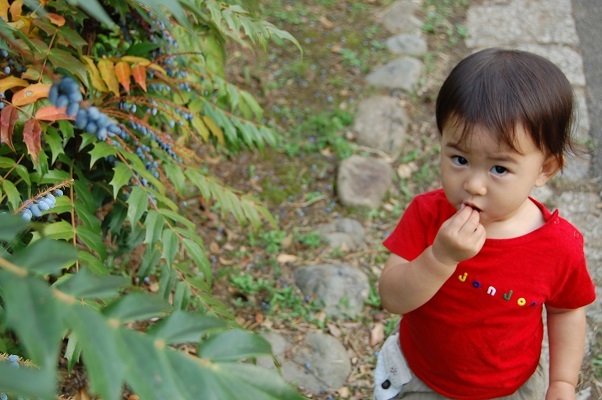 目標を達成しました 保土ケ谷区の親子に必要とされる場所 マムマム の存続へ 伊藤奈美 18 06 11 投稿 クラウドファンディング Readyfor レディーフォー