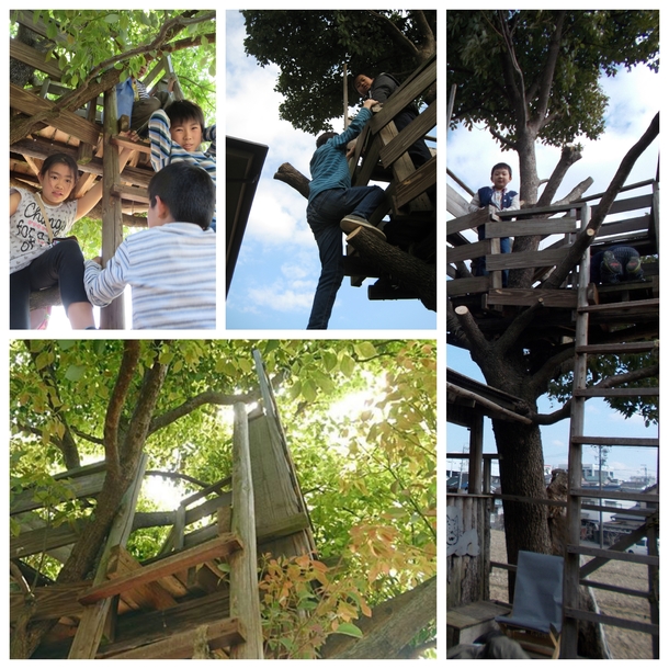 A17c9aaa61e80a1bf71d0d850af4e5baa9800bbd