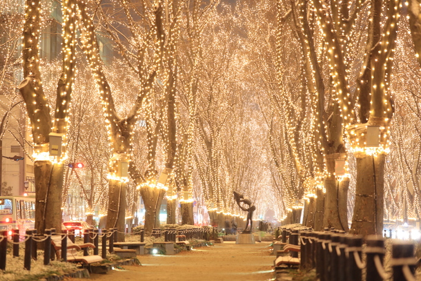 A17c9aaa61e80a1bf71d0d850af4e5baa9800bbd