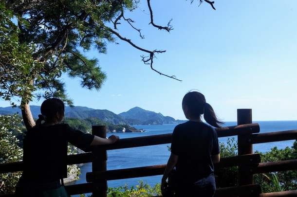 ワーキングホリデー