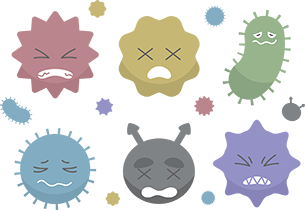 バクテリアの画像