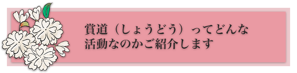 賞道の活動とはどんなもの？