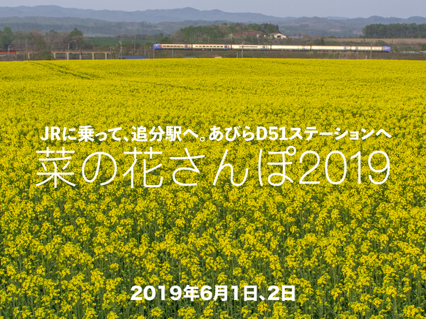 6月1 2日は 菜の花さんぽ19 沿線にも咲いてます 北海道 鉄道史の誇り 往年の 特急おおぞら を国鉄色で未来へ 矢野友宏 北海道鉄道観光資源研究会 19 05 19 投稿 クラウドファンディング Readyfor