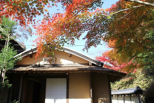 春風萬里荘の四季（秋） 北大路魯山人の住居「春風萬里荘」の庭園を 