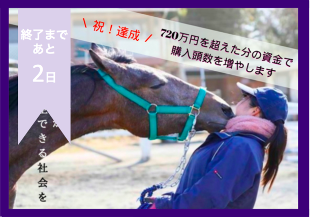 活動報告 他に買い手がない馬を購入。学生が育成し、競走馬デビューへ