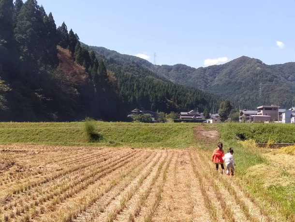 稲刈りが終わった田んぼで遊ぶ我が子(笑)