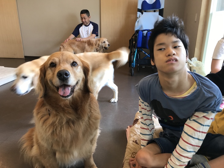 日本介助犬福祉協会