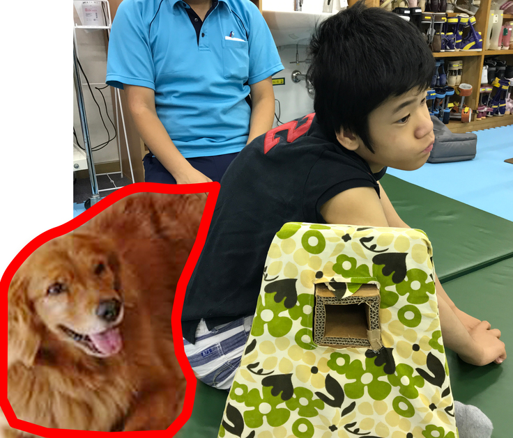 日本介助犬福祉協会