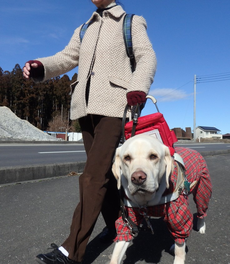 168 業務紹介その5 盲導犬ユーザーに笑顔を ワンボックス車両の入れ替えがしたい 公益財団法人 東日本盲導犬協会 02 18 投稿 クラウドファンディング Readyfor レディーフォー