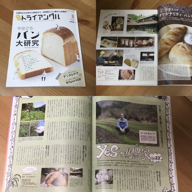 山口県のタウン情報誌 トライアングル に掲載されました 周南市鹿野を伝えるギャラリーを開き ふる里に笑顔を増やしたい うめざわ しのぶ 02 28 投稿 クラウドファンディング Readyfor レディーフォー