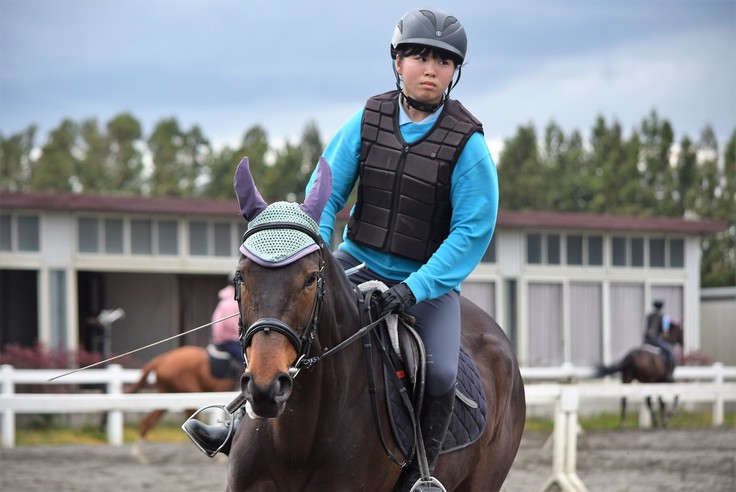 ドレッサージュホース アクリルチャーム オーナメント マスコット 乗馬 ...