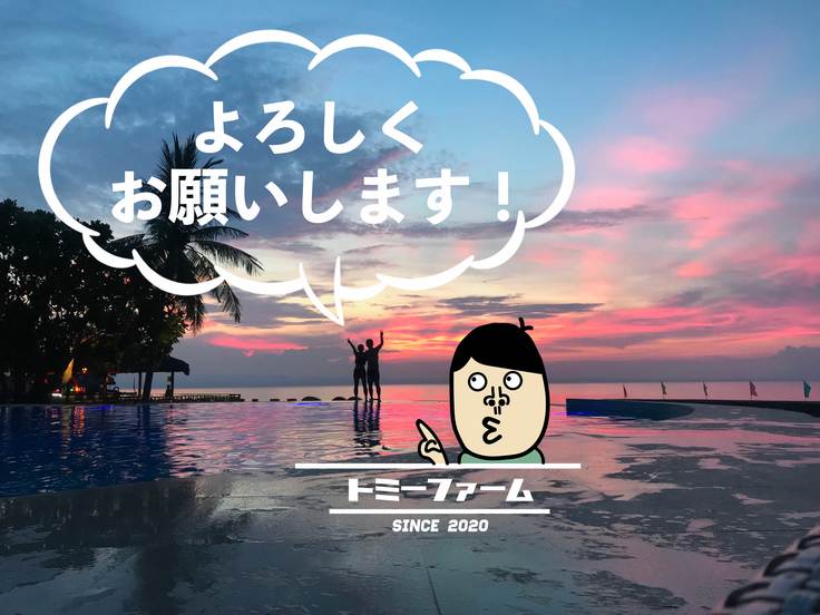 ネクストゴールに挑戦中