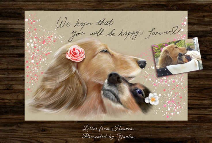 ダックスフンド,ペット似顔絵,犬