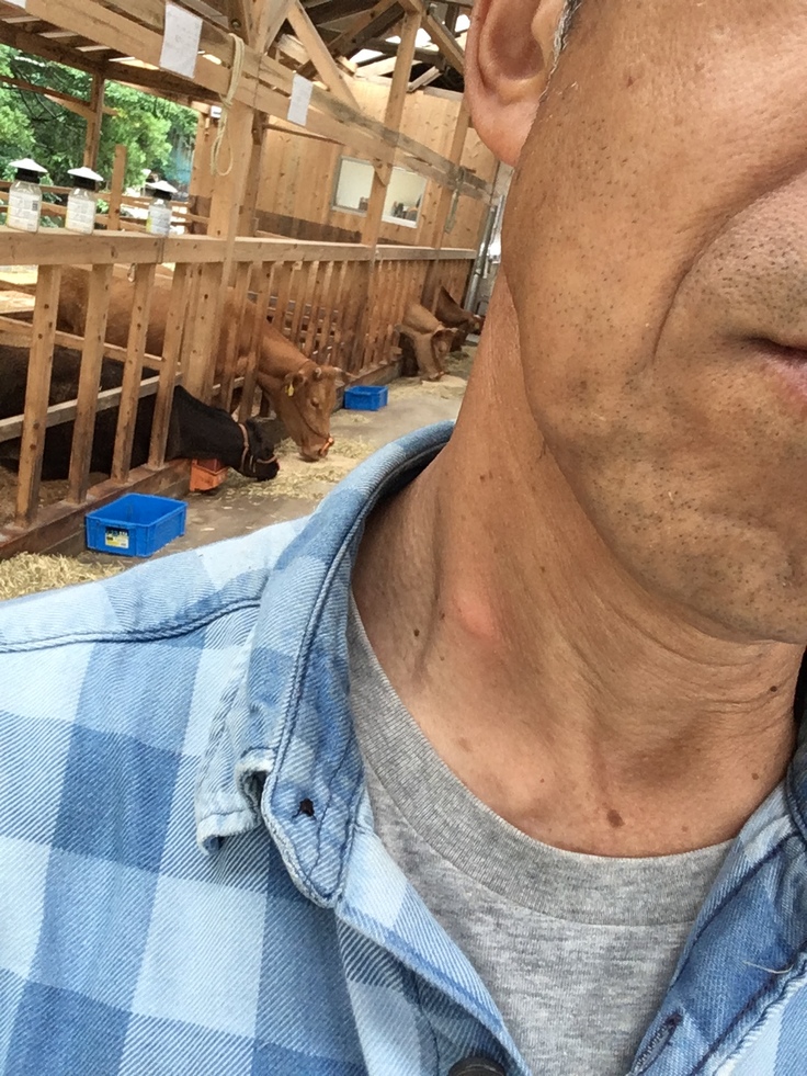 首をサシバエに咬まれた